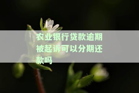 农业银行起诉我了，还可以协商还款吗？无力偿还会有何影响？