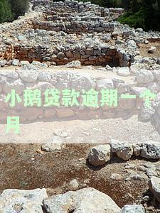 小鹅贷款逾期一天的影响及处理方法