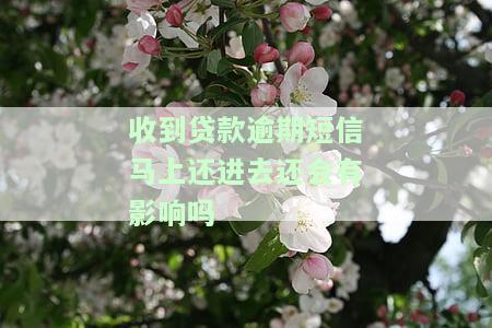 收到贷款逾期短信马上还进去还会有影响吗？怎么办？收到威胁、总是收信息，短信发来需注意，有无征信风险？
