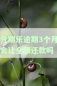 分期乐逾期三个月会上征信吗？后果、解决办法及可能的法律行动