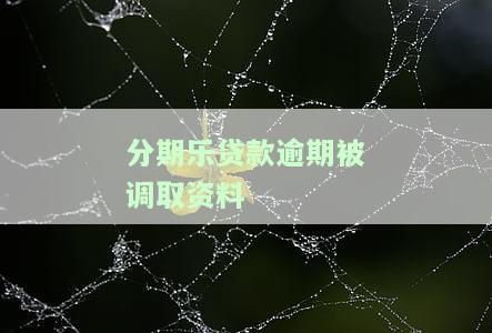 在分期乐借钱逾期了,有业务员上门调查的情况该怎么办？