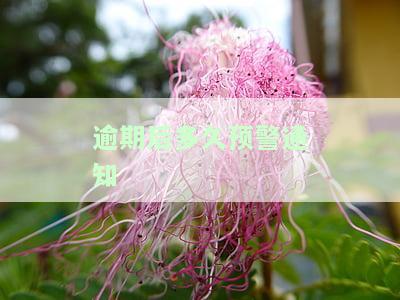 逾期后多久预警通知家长？逾期对小孩上学有何影响？逾期多久会进行家访？逾期多长时间会影响孩子入学？逾期多久会被上报？