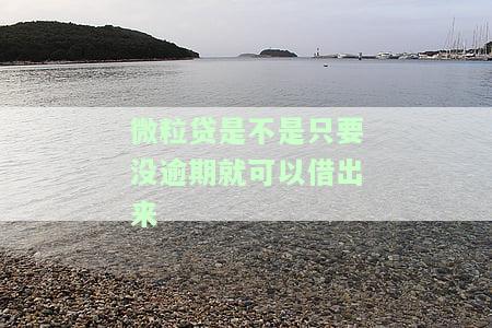 微粒贷只要没逾期就能借？真的吗？会对银行贷款产生影响吗？即使其他都有逾期情况如何？有欠款但未逾期能否贷款买房？从未逾期会降额吗？