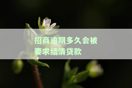 招商逾期多久会被要求结清贷款呢，逾期还款多长时间会面临招商银行贷款清算？