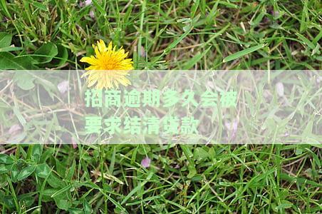 招商逾期多少会被起诉？从逾期天数、金额到协商解决，一文告诉你