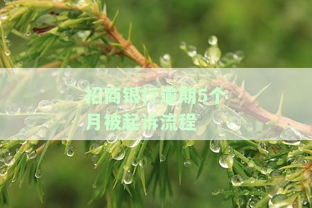 招商银行逾期5个月被起诉流程是什么，了解招商银行逾期5个月被起诉的流程