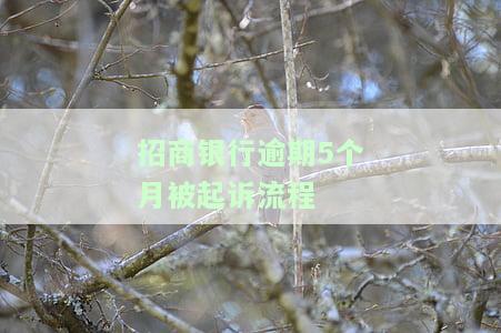 招商银行一般逾期几个月会发法院起诉？催收、上征信时间及条件解析