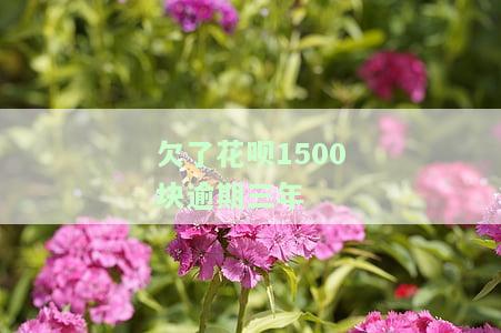 花呗欠款三千逾期2年说会起诉怎么办，花呗欠款三千逾期两年，被告知可能被起诉，如何应对？