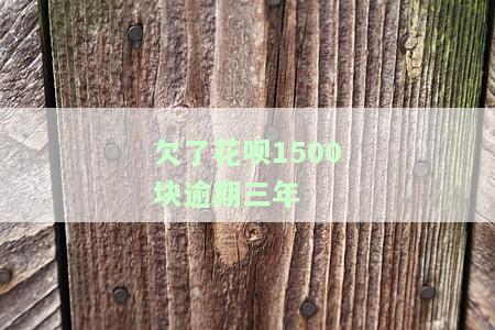 欠了花呗1500块逾期三年-欠了花呗1500块逾期三年怎么办