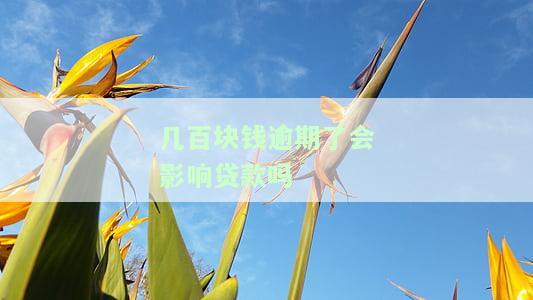几百块钱逾期了会影响贷款吗-几百块钱逾期了会影响贷款吗知乎
