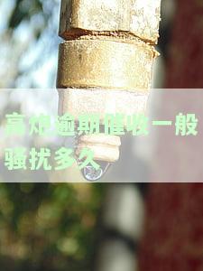 高炮逾期催收一般骚扰多久会起诉？停止时间及持续期限解析