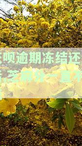 花呗逾期冻结还清后,芝麻分一直不涨-花呗逾期了冻结了还清了,芝麻花还会下降吗
