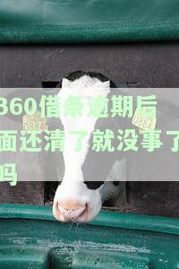 逾期还清后多久能再次借款？