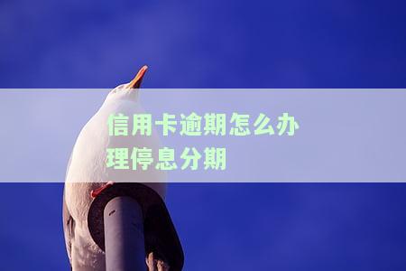 信用卡逾期办理停息分期需要多久，如何申请停息分期以处理信用卡逾期？