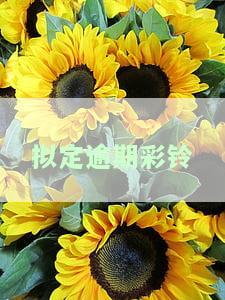 拟定逾期彩铃怎么办，如何处理逾期彩铃问题？