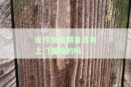支付宝青岛催收电话，曝光：支付宝在青岛进行催收，用户该如何应对？