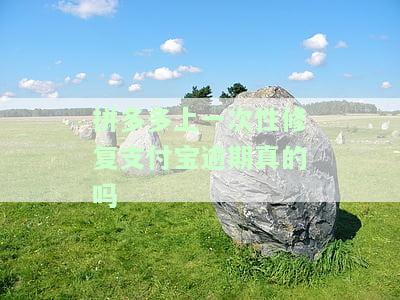 拼多多修复：原因、进度与影响全解析