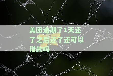 美团逾期1天还了之后还了影响征信吗，美团逾期一天还款后，对征信有影响吗？