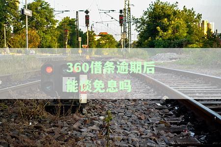 逾期后能谈免息吗是真的吗，真相揭秘：逾期后能否申请免息还款？