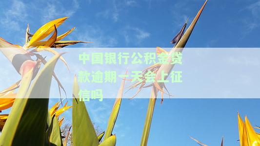 中国银行公积金贷款逾期第二天会扣款么，关于中国银行公积金贷款逾期：第二天是否会进行扣款？