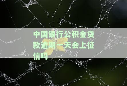 国管公积金贷款逾期一天的影响及处理方法