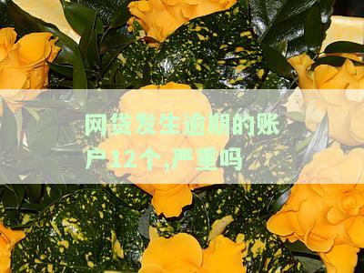 网贷发生逾期的账户12个，严重吗？该如何处理？