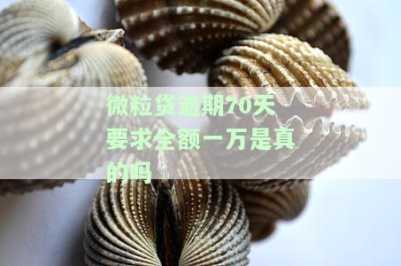 微粒贷逾期70天要求一次还清，应对微粒贷逾期：70天内需一次性还清欠款