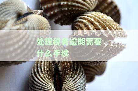 处理税务逾期需要什么手续和证件，如何办理税务逾期？所需手续与证件全解