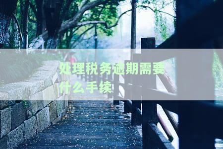 处理税务逾期需要什么手续和条件，如何处理税务逾期？需要哪些手续和条件？