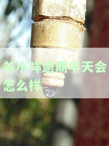 羊小咩逾期半天会怎么样