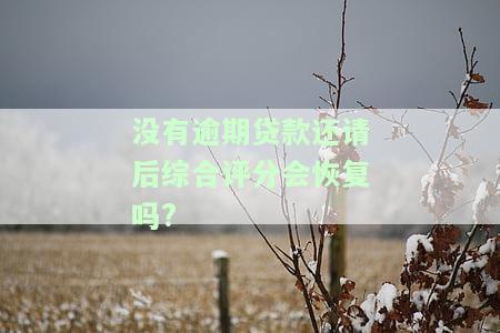 没有逾期综合评分不足可以申请哪些信用卡？如何解决评分不足问题？需要多久才能恢复正常？为什么会出现评分不足的情况？是否可以消除？哪些网贷可以下款？