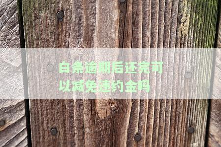 白条逾期费用能减免吗，如何申请白条逾期费用减免？