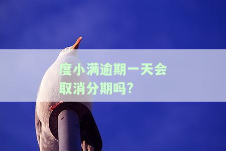 度小满逾期几天还能再借吗，度小满逾期后，能否再次借款？时间限制是多久？