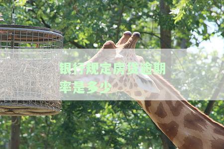 全面解析：银行房贷对逾期次数的具体要求及影响