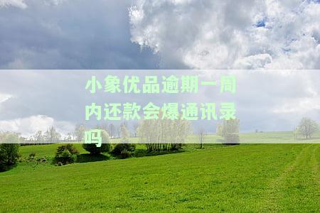 小象优品逾期是否会影响征信？逾期后果、处理方法及再借可能性全解析