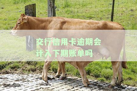 交行信用卡逾期会计入下期账单吗-交行信用卡逾期会计入下期账单吗怎么办