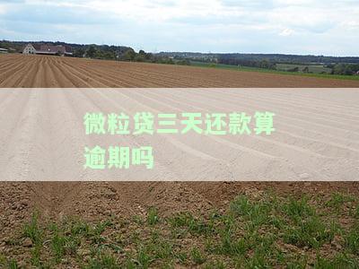 微粒贷三天还款算逾期吗会怎么样，微粒贷逾期三天会产生什么后果？