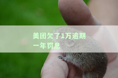 美团上欠1万元逾期3个月会被起诉吗？影响及解决办法