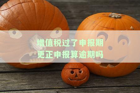 申报期过后增值税更正申报，如何在申报期过后进行增值税更正申报？