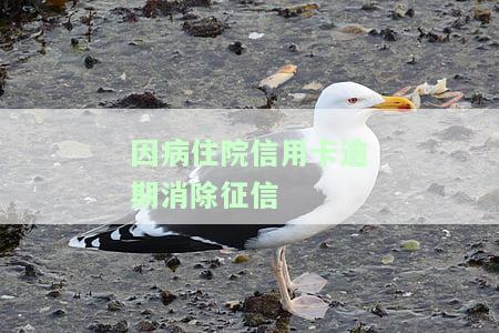 因病住院信用卡逾期消除征信-因病住院信用卡逾期消除征信有影响吗
