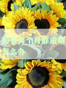 房贷每个月都逾期怎么办-房贷每个月都逾期怎么办?
