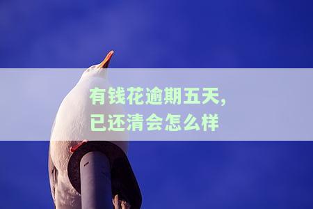 有钱花逾期五天,已还清会怎么样