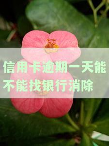 信用卡逾期一天能不能找银行消除记录，信用卡逾期一天，能否要求银行消除记录？