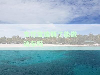 支付宝逾期了能做动车吗-支付宝逾期能坐火车吗