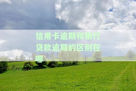 信用卡逾期和银行贷款逾期的区别在哪-信用卡逾期和银行贷款逾期的区别在哪里