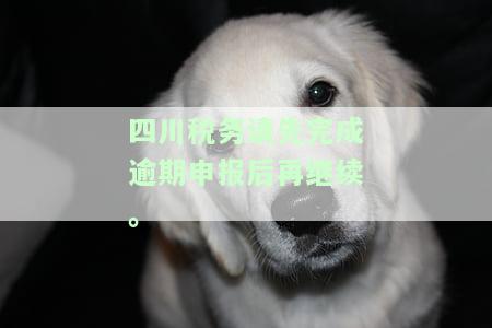 四川税务请先完成逾期申报后再继续。-四川税务请先完成逾期申报后再继续申报吗