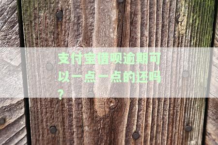 支付宝借呗逾期可以一点一点的还吗，如何解决支付宝借呗逾期问题：一点一点还款可行吗？