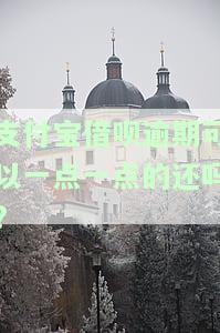 支付宝借呗逾期可以一点一点的还吗安全吗，支付宝借呗逾期还款：分批归还的安全性探讨