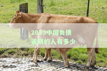2023中国负债逾期的人有多少-2023中国负债逾期的人有多少呢