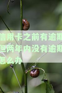 四年前信用卡逾期一年,近两年没有逾期，会影响现在贷款买房吗？
